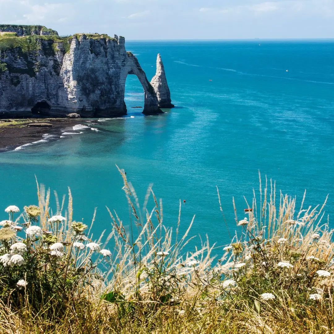 Caen-guided-tour-Top-affordable-options-and-how-to-book-with-ease Caen Visite