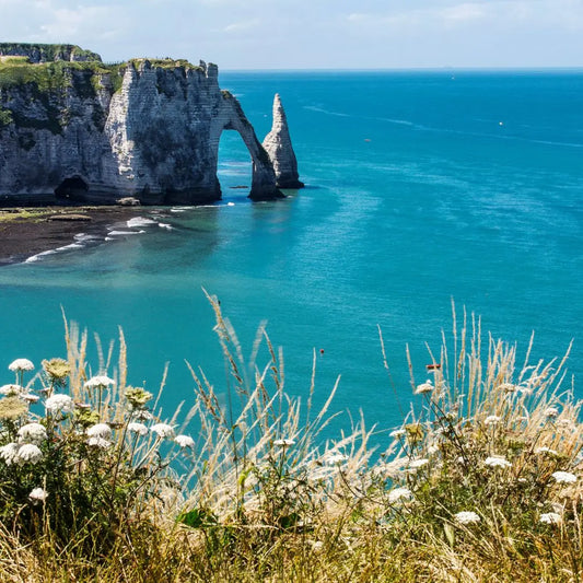 Caen-guided-tour-Top-affordable-options-and-how-to-book-with-ease Caen Visite