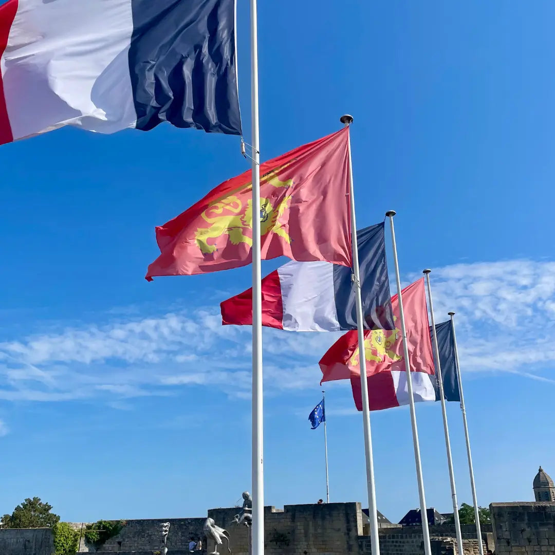 Caen-et-la-Seconde-Guerre-mondiale-Histoire-mémorial-et-visites-guidées Caen Visite
