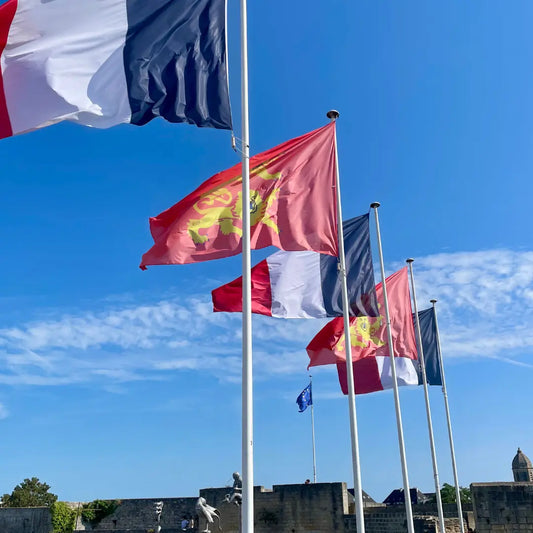 Things to Do in Normandy: Top Attractions and Historic WW2 Sites - Caen Visite