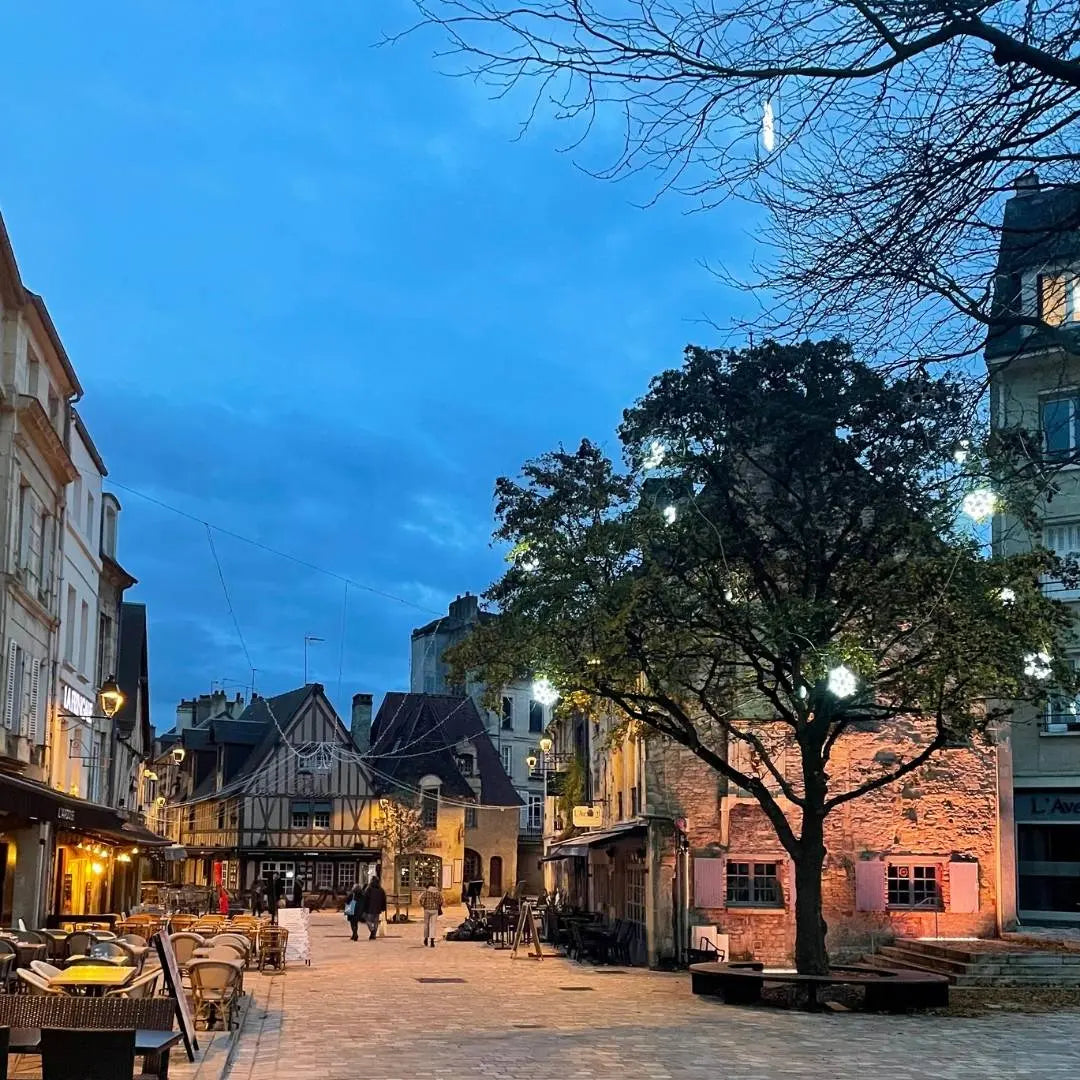Visite privée de Caen — Une expérience sur-mesure, en famille ou entre amis Caen Visite
