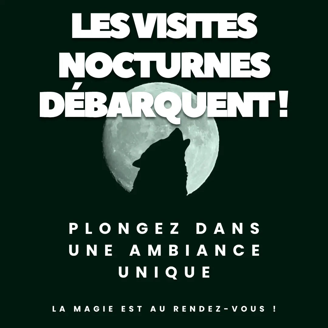 Visite guidée nocturne de Caen (1h30) – Caen à la nuit tombée Caen Visite