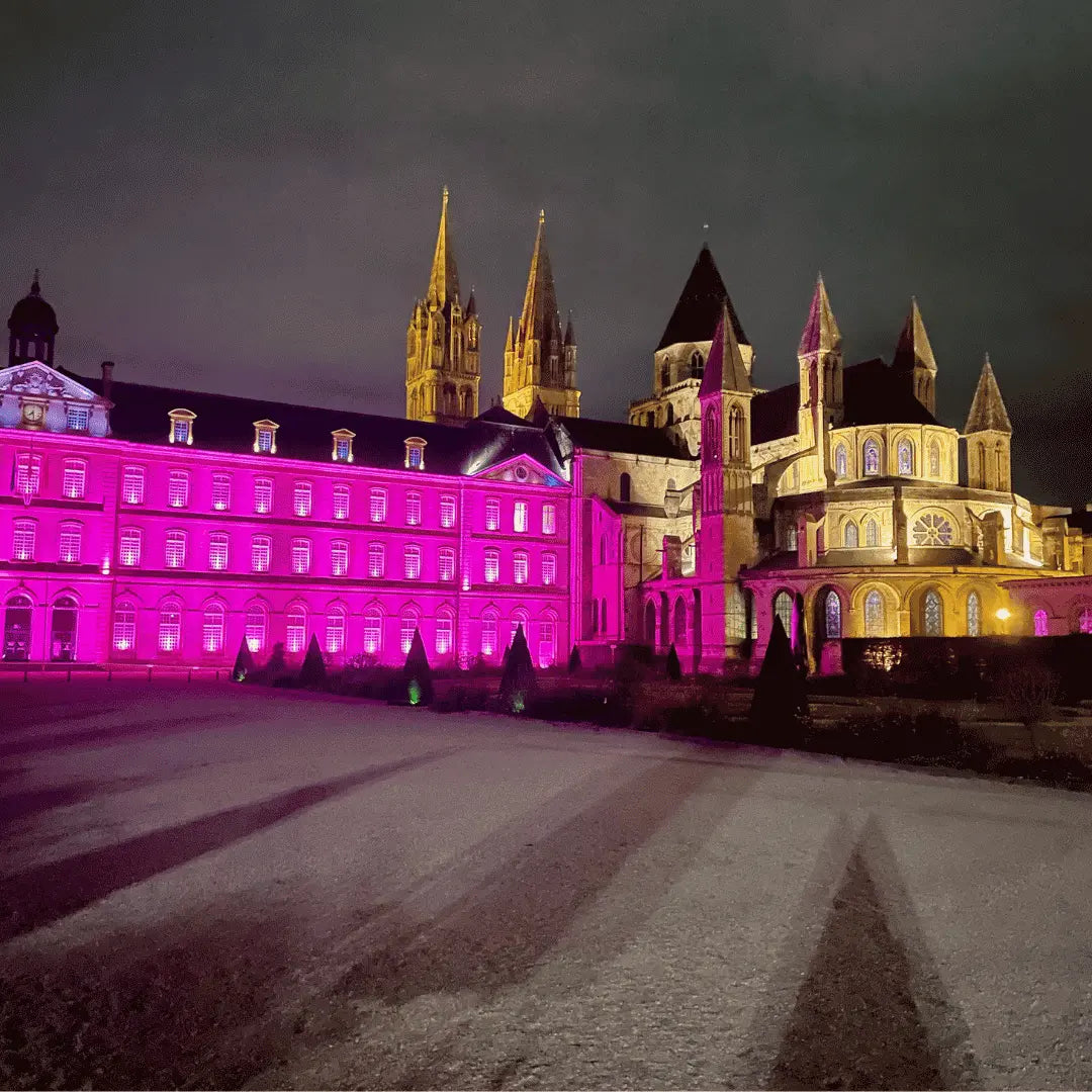 Visite guidée nocturne de Caen (1h30) – Caen à la nuit tombée Caen Visite